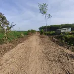 Bán 7ha đất Tân Châu, Tây Ninh, 72.474m², 8,7 tỷ - Ảnh thu nhỏ 2