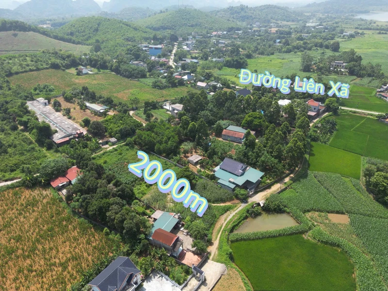 Bán đất nông nghiệp 2000 m² Thanh Oai Hà Nội