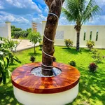 Bán nhà vườn 1605m2 Xã Hàm Liêm, Lâm Đồng, 1 tỷ 850 - Ảnh thu nhỏ 3