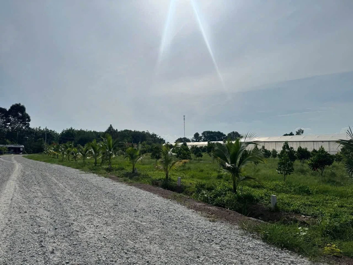 Bán đất Phú Giáo, Bình Dương 200-250m2, giá từ 390-590 triệu - Ảnh thu nhỏ 4