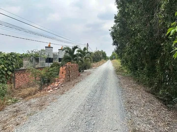 Bán đất mặt tiền Long An 19.671 m², 200 triệu/công - Ảnh thu nhỏ 2