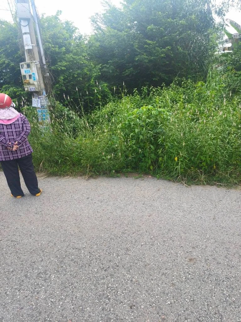 Bán lô đất 297m2 Tân Thành Bắc Tân Uyên 1,7 tỷ - Ảnh thu nhỏ 4