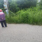 Bán lô đất 297m2 Tân Thành Bắc Tân Uyên 1,7 tỷ - Ảnh thu nhỏ 4