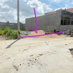 Bán 2 nền đất 115m2 và 137m2 Tân Bữu Bến Lức - Ảnh thu nhỏ 4