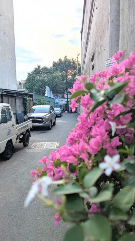 Bán nhà hẻm ôtô Bình Giã 48m² 3PN 4,1 tỷ