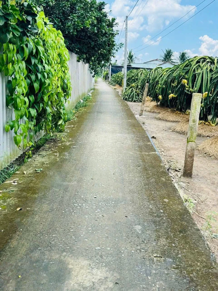 Bán 3 nền đất liền kề Song Bình 100m² giá 399 triệu - Ảnh thu nhỏ 2