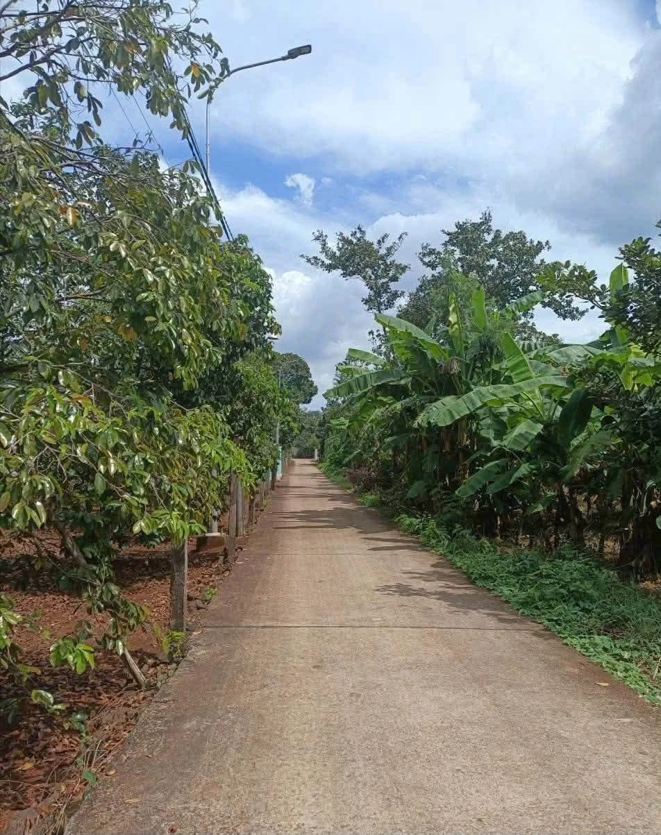 Bán đất Xã Kim Long 54000m² giá 2 tỷ - Ảnh 1