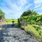Bán đất 10.844m2 hai mặt tiền đường tại xã Long Khánh, Bến Cầu, Tây Ninh - Ảnh thu nhỏ 4