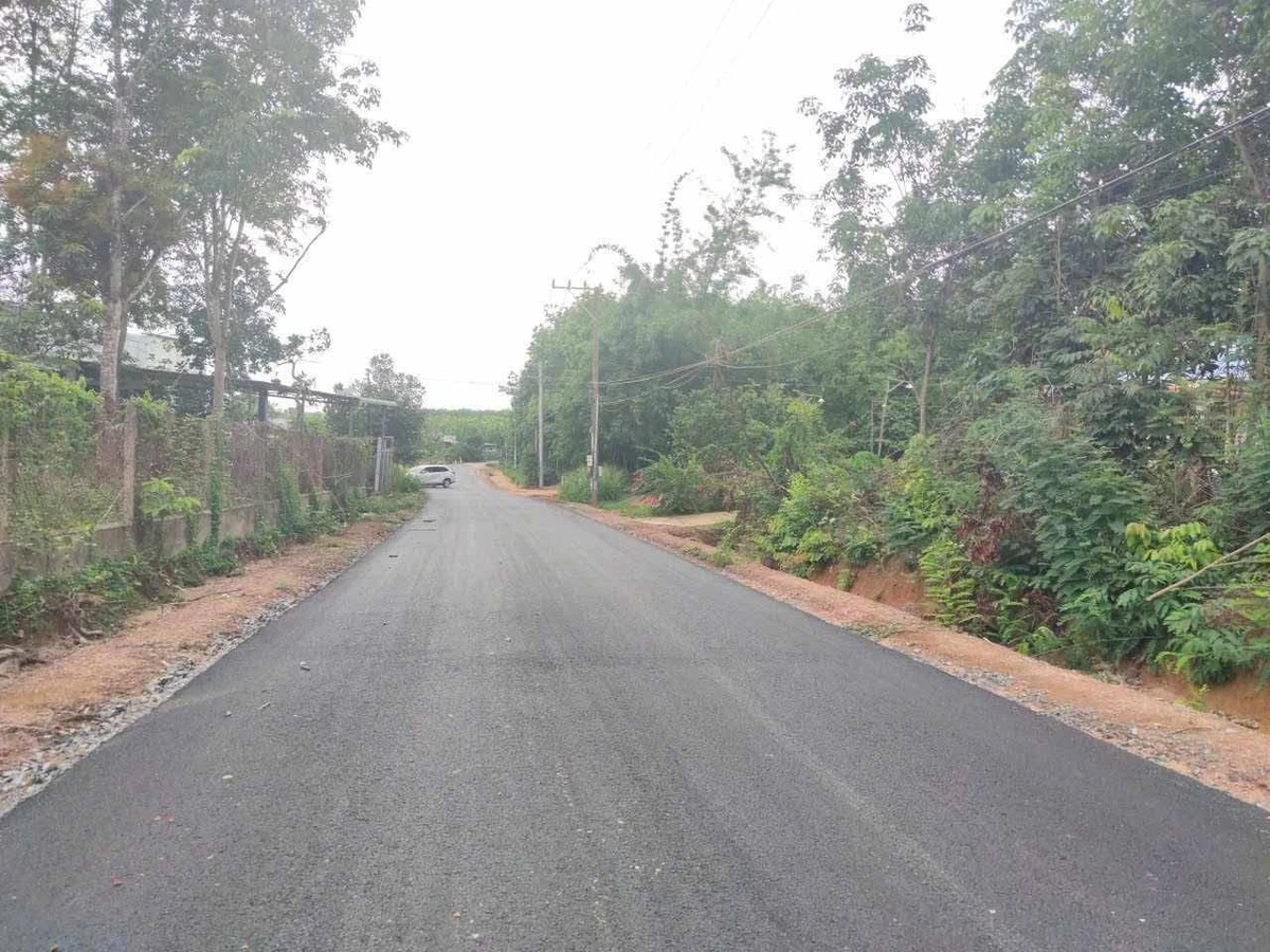 Bán đất 23.500m² Phường Long Nguyên, Bình Dương, giá 700 triệu - Ảnh thu nhỏ 2