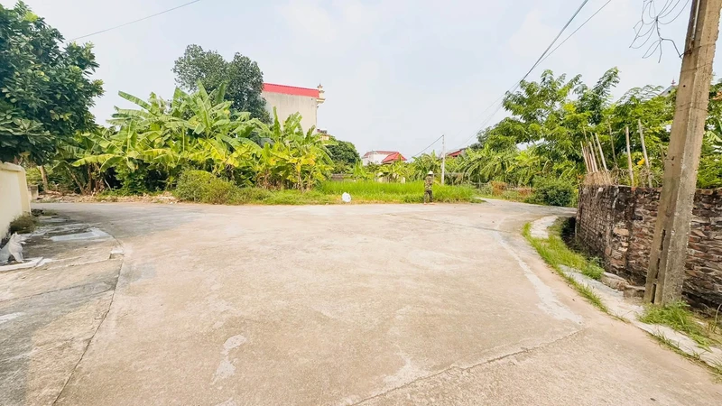 Bán đất 85,5m² Vĩnh Trại Lương Tài Bắc Ninh 1 tỷ 5
