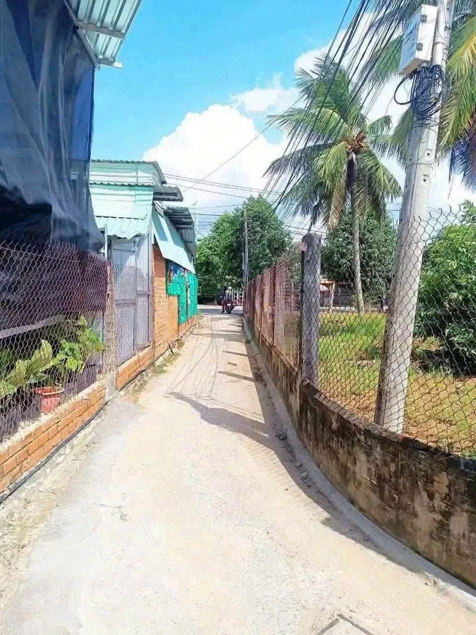 Bán đất thổ 100m² Bến Lức Tây Ninh 650 triệu - Ảnh 1