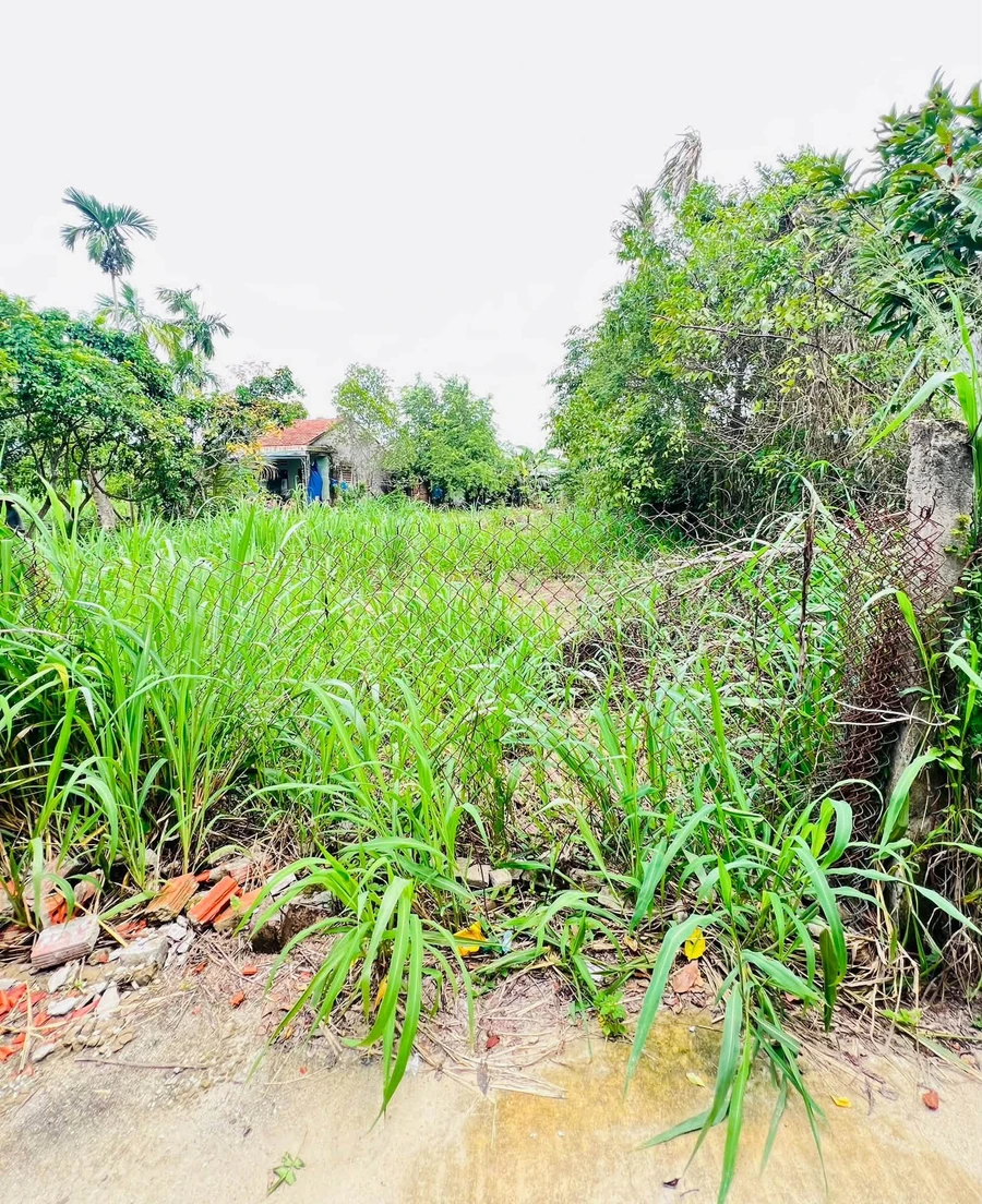 Bán lô đất Tịnh Ấn Tây 100m² Hóc Môn, gần cầu Thạch Bích - Ảnh thu nhỏ 2