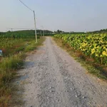 Bán đất 1 công (1000m²) giá 250 triệu Tây Ninh - Ảnh thu nhỏ 2
