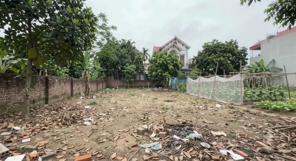 Bán đất Gia Lâm 169m² 3.1 tỷ gần Vinhomes - Ảnh thu nhỏ 2