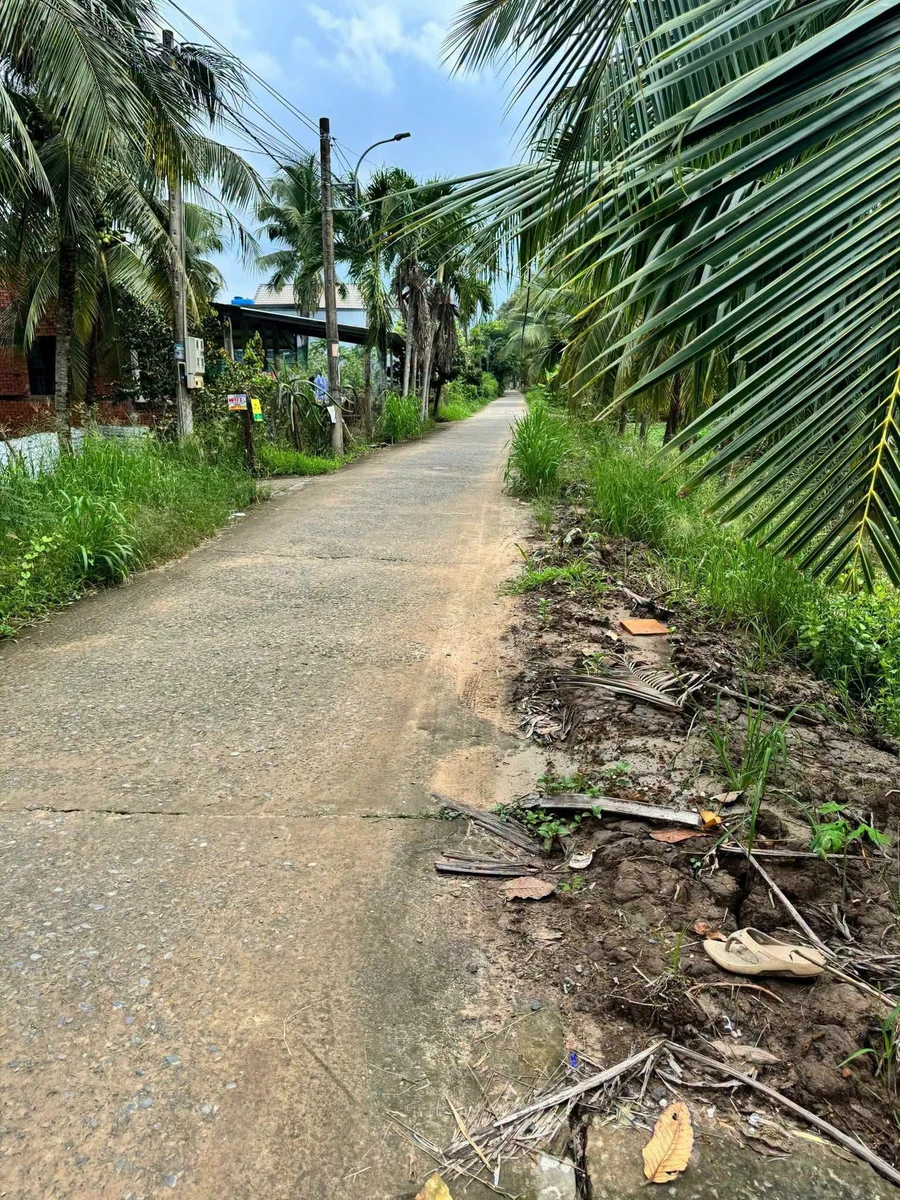 Bán đất Phú Hưng Bến Tre 2200m2 với nhà cấp 4 - Ảnh thu nhỏ 3