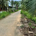Bán đất Phú Hưng Bến Tre 2200m2 với nhà cấp 4 - Ảnh thu nhỏ 3