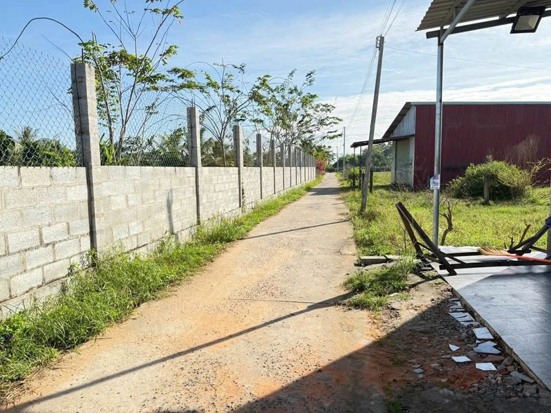 Bán 1500m² đất cây trồng Xã Hàm Liêm, Lâm Đồng