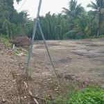 Bán đất Tân An Vĩnh Long 216,8m² 400 triệu - Ảnh thu nhỏ 4