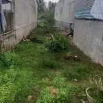 Bán đất mặt tiền 165m² Quốc Lộ 57B, Phú Túc, Bến Tre - Ảnh thu nhỏ 2
