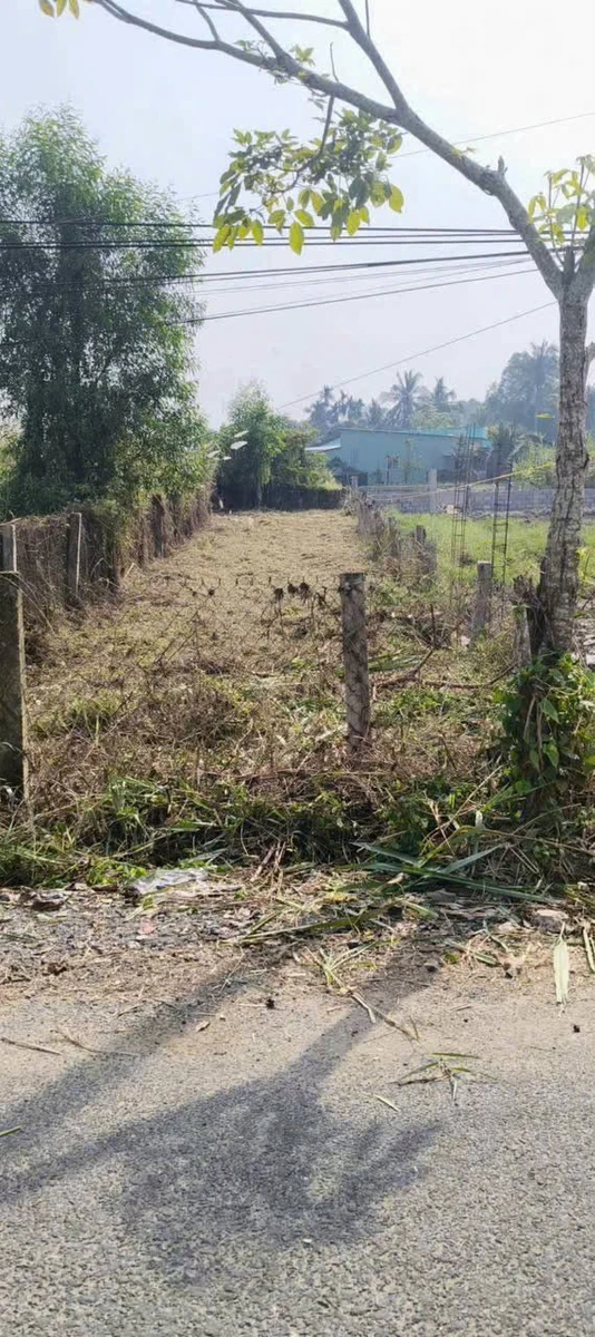 Bán lô đất thổ cư mặt tiền 200m² Long An 950 triệu - Ảnh thu nhỏ 3