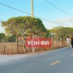 Bán đất 250m² Phước Hải Bà Rịa - Vũng Tàu 2.2 tỷ - Ảnh thu nhỏ 1