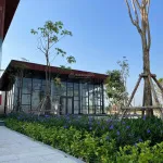 Siêu phẩm nền HV 100m2 đường 24m view CV, vị trí rất đẹp, Giá chỉ 2,25 tỷ bao thuế, nền sạch 100% - Ảnh thu nhỏ 11