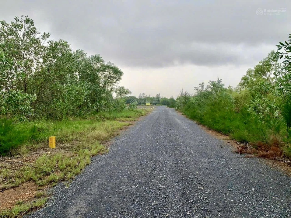 Cần bán 3000m2 đất RSX trồng cây ven biển, cách KDC Tân Định & bãi tắm Hải Ninh 1km. Giá: 500 triệu - Ảnh 1