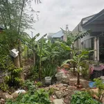 Bán đất Hiệp An Thủ Dầu Một Bình Dương 102,5m2 1 tỷ 490 - Ảnh thu nhỏ 4