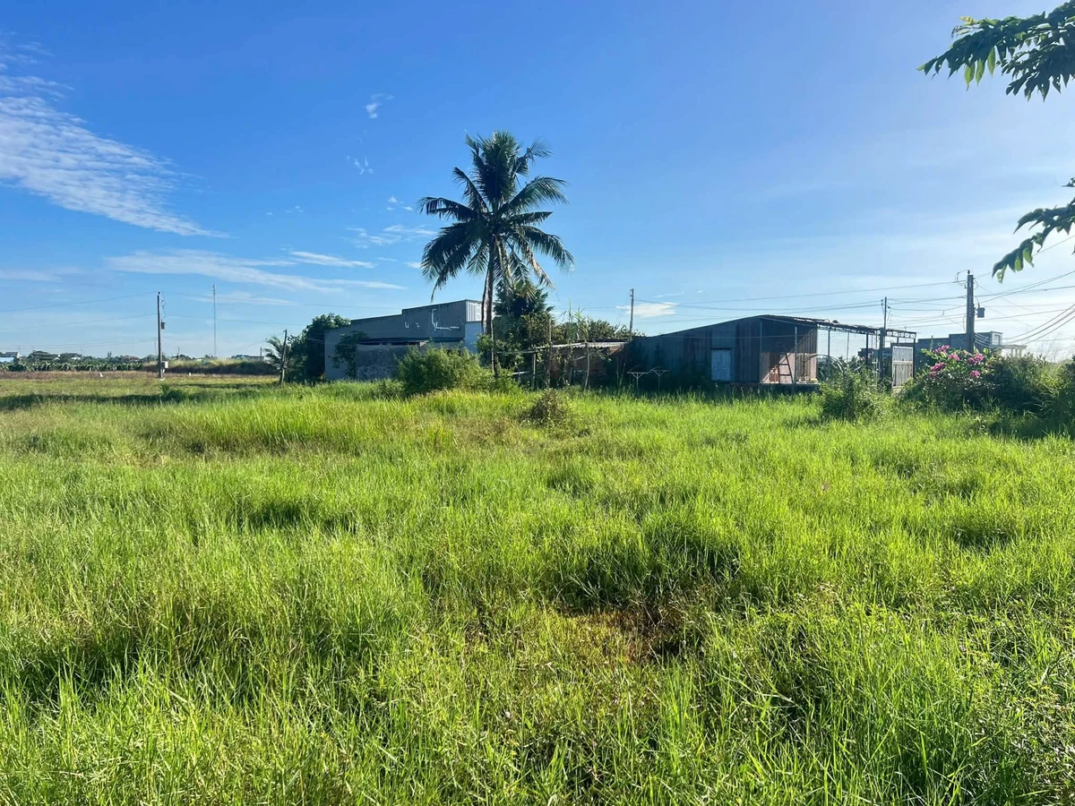 Bán đất kèm nhà cấp 4, 1161m2, Tuyên Quang, Lâm Đồng - Ảnh thu nhỏ 3