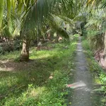 Bán nền 300m2 xã Phú Hưng, Bến Tre - Ảnh thu nhỏ 1