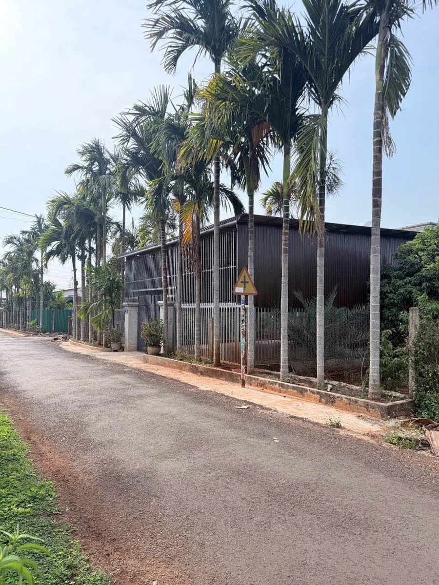 Bán đất Đạt Lý đường 20A, 150m², 1 tỷ 690 triệu - Ảnh thu nhỏ 3