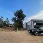 Bán đất Nguyễn Xuân Nguyên 165m² 2,5 tỷ Tân An - Ảnh thu nhỏ 1
