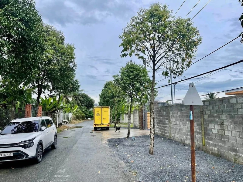 Nhà vườn mặt tiền Nguyễn Văn Nhâm, Tân An – 1000 m², 4.5 tỷ
