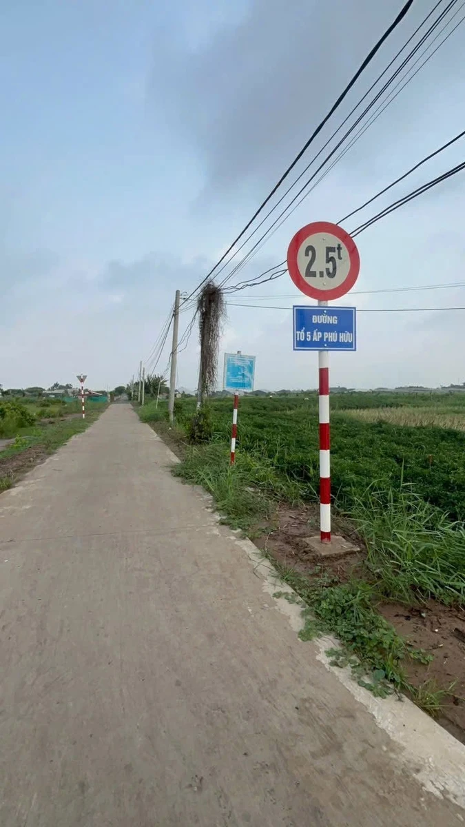 Bán đất Tân Phú Đông Tiền Giang 120m2 250 triệu - Ảnh thu nhỏ 3
