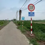 Bán đất Tân Phú Đông Tiền Giang 120m2 250 triệu - Ảnh thu nhỏ 3