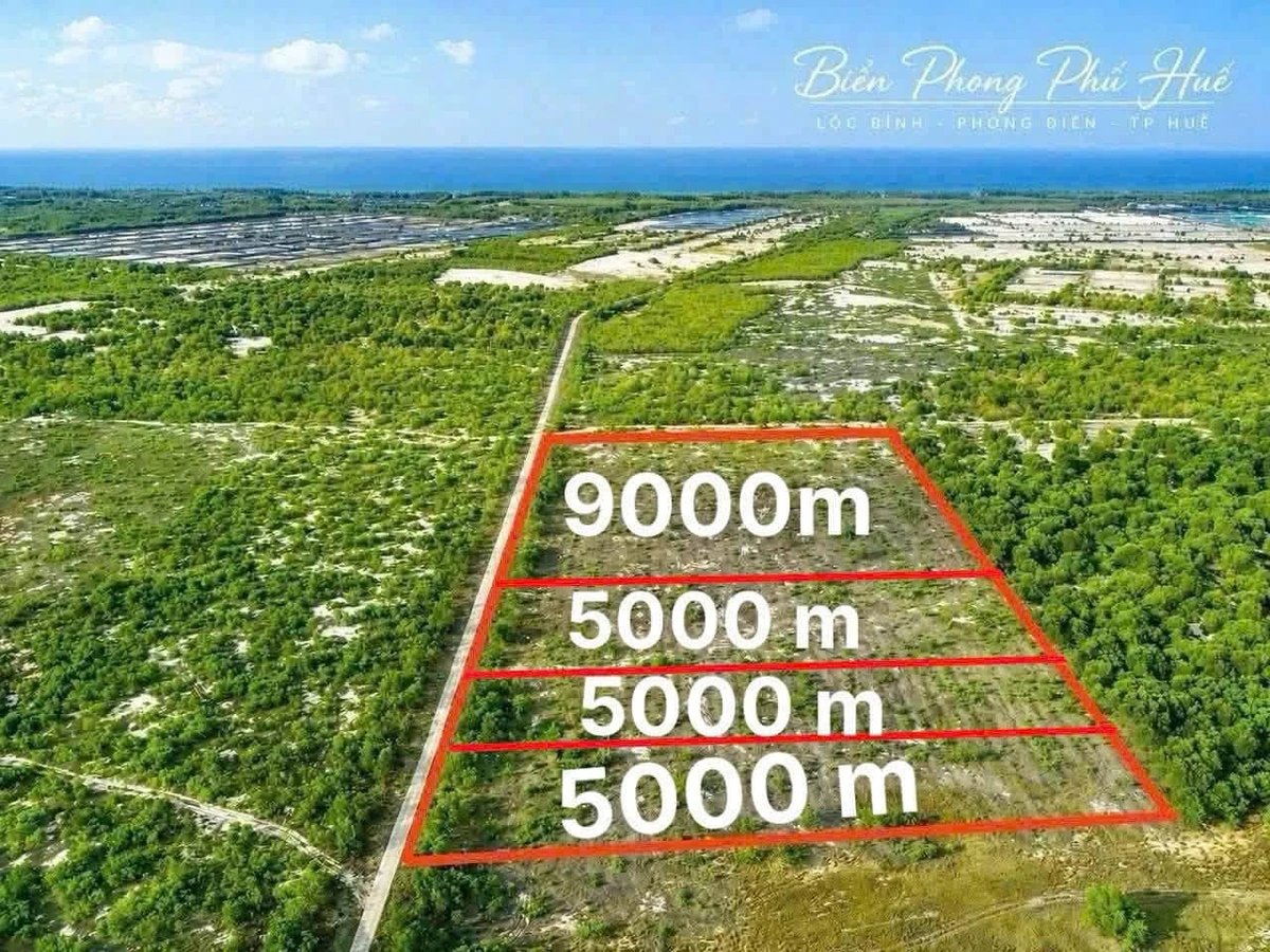 Đất biển Phong Phú, Huế 5.000m², 220 triệu/lô - Ảnh thu nhỏ 2