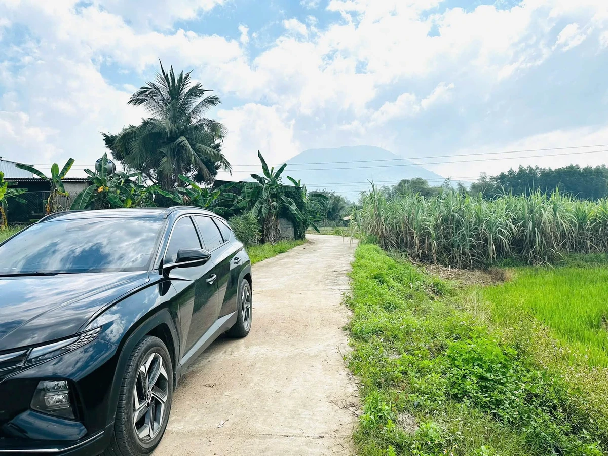 Bán đất vườn 509m2 Diên Khánh, Khánh Hòa 699 triệu - Ảnh 1