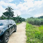 Bán đất vườn 509m2 Diên Khánh, Khánh Hòa 699 triệu - Ảnh thu nhỏ 1