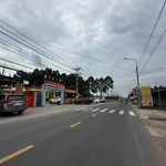 Bán đất mặt tiền 1.200m² Trảng Bom, Bình Dương - Ảnh thu nhỏ 2