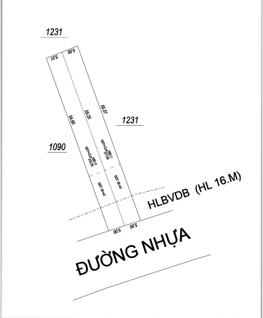 Bán 2 lô đất mặt tiền đường DH12 270m² Bình Dương - Ảnh thu nhỏ 2