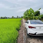 Bán đất 120m² Trần Văn Thiệp Tân Trụ, Bình Dương 340 triệu - Ảnh thu nhỏ 1