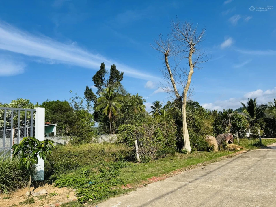 Bán đất 100% thổ cư Búng Gội, 494m2 giá 4.3tỷ, ngang 16.5m view núi đẹp, về sân bay Phú Quốc 20phut - Ảnh thu nhỏ 3