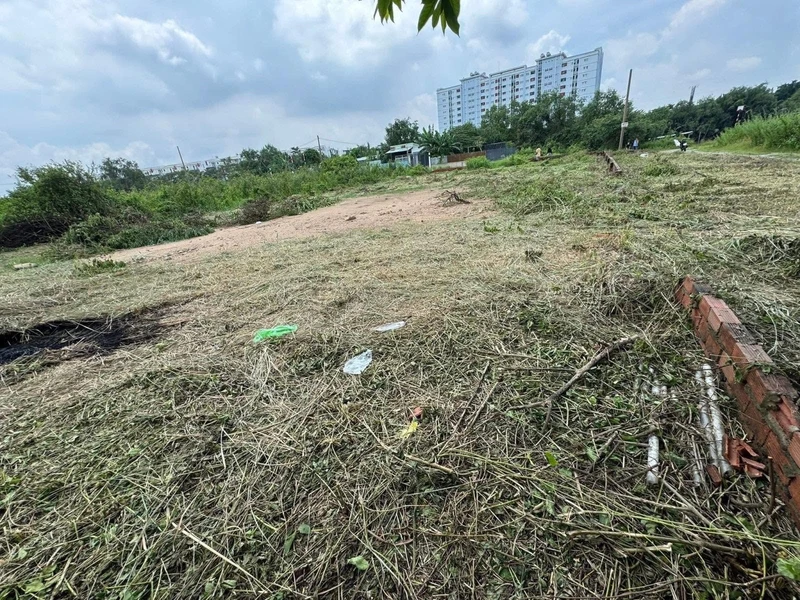 Đất mặt tiền đường chính đi U Minh - Cà Mau 10ha (100.000 m2) 1262