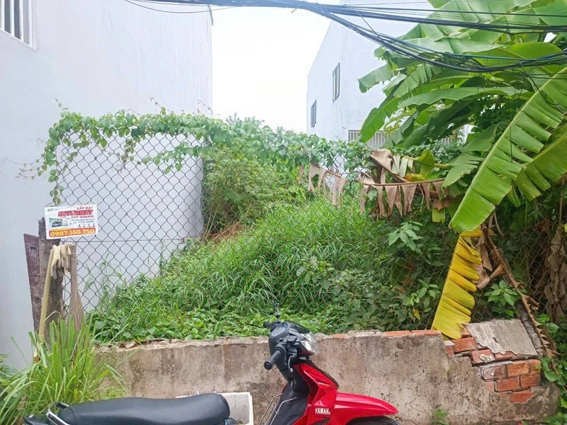 Bán đất mặt tiền kinh doanh QL55 Đất Đỏ 593m² 95x20