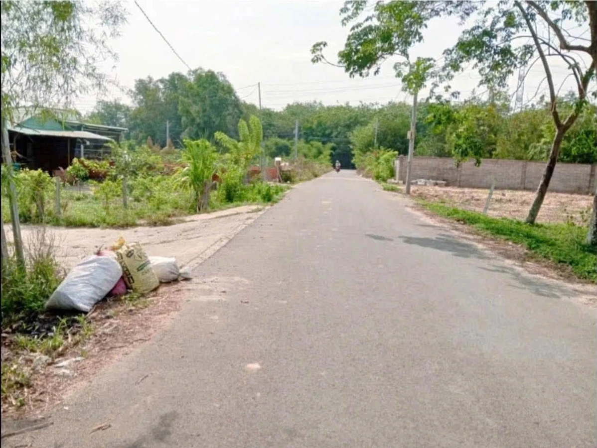 Bán lô đất 4.809m² Phú An, Thủ Đức - Ảnh thu nhỏ 5