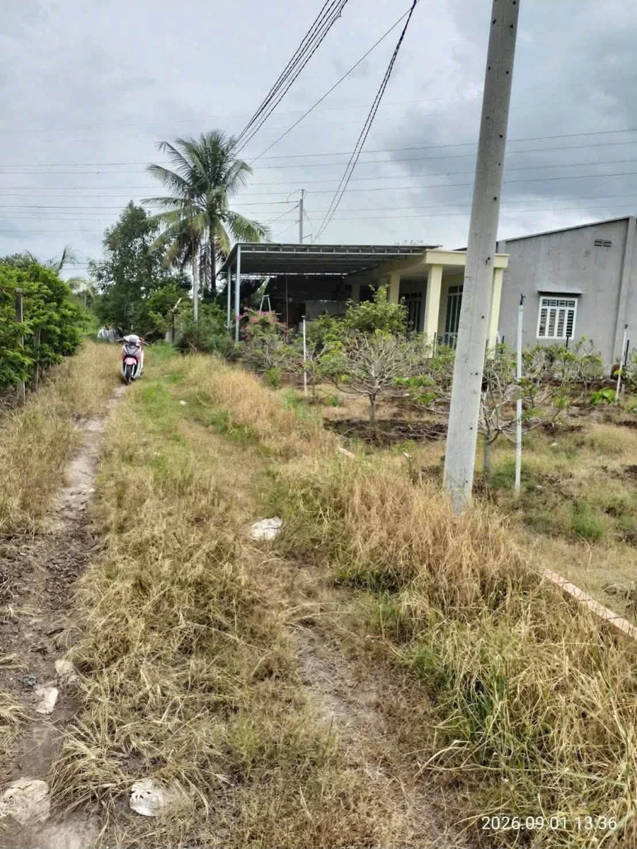 Bán đất 2,2 công Tây Ninh 320 triệu/công - Ảnh thu nhỏ 2