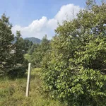 Bán đất giáp Suối Đá lớn - có sẵn thổ cư - mặt tiền nhựa lớn - khu dân cư - Ảnh thu nhỏ 15