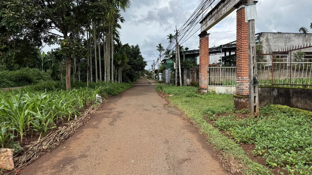 Bán nhà mái Thái 200m² Krông Păk, Đắk Lắk - 1,55 tỷ - Ảnh 1