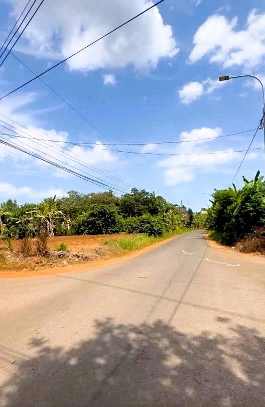 Bán lô đất 1.096m² Bàu Cạn, Long Thành, gần sân bay - Ảnh thu nhỏ 3
