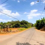 Bán lô đất 1.096m² Bàu Cạn, Long Thành, gần sân bay - Ảnh thu nhỏ 3